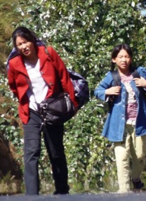 桃花电视剧在线观看